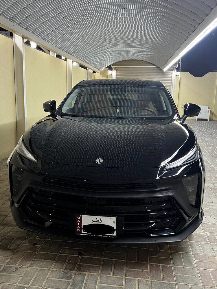 دونغ فينغ - 1