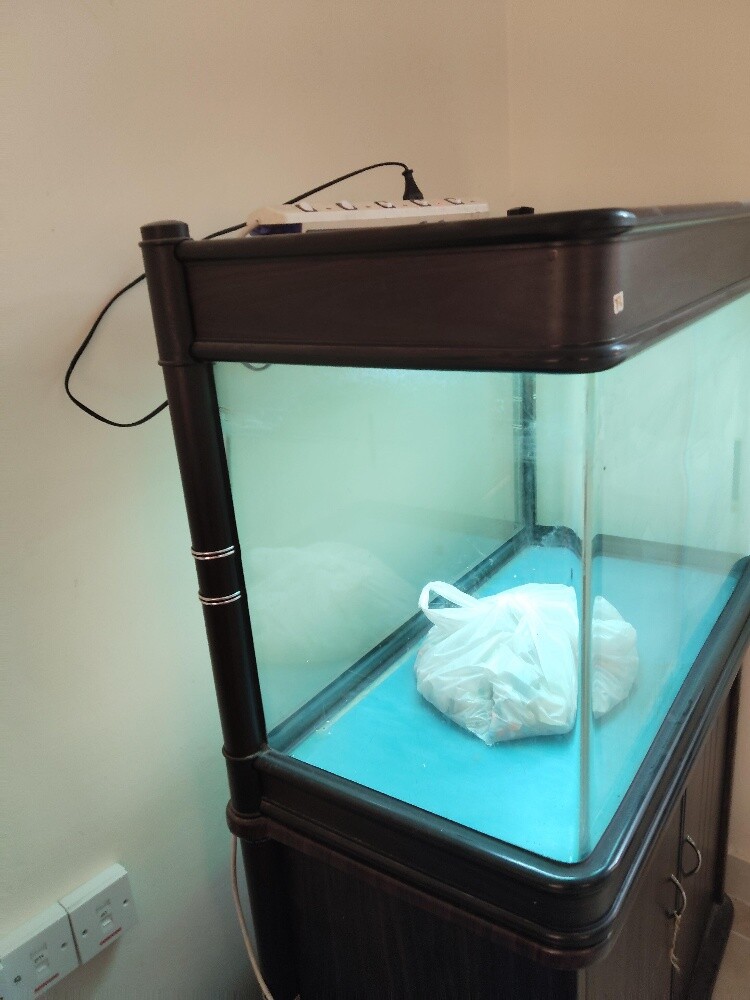 Large Fish Aquarium with Bottom Cab - 8