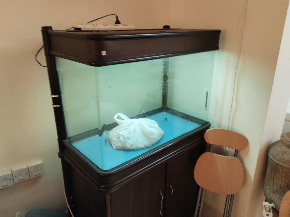 Large Fish Aquarium with Bottom Cab - 6