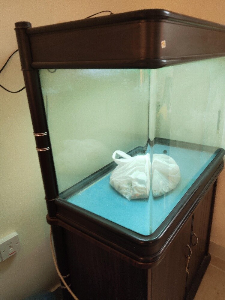 Large Fish Aquarium with Bottom Cab - 7