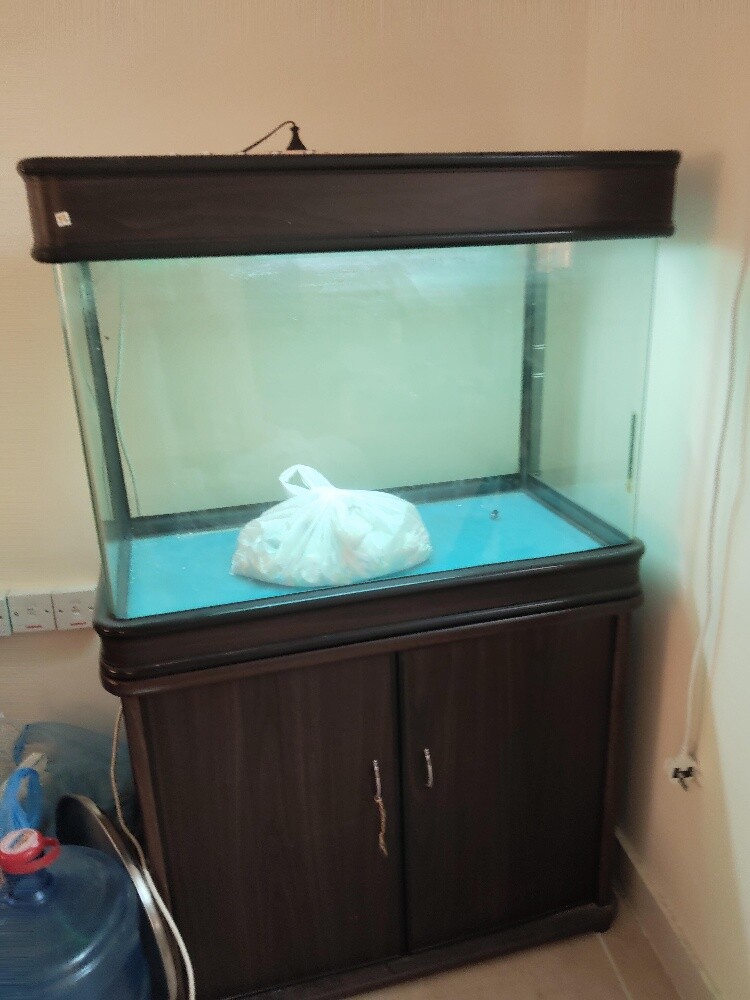 Large Fish Aquarium with Bottom Cab - 9
