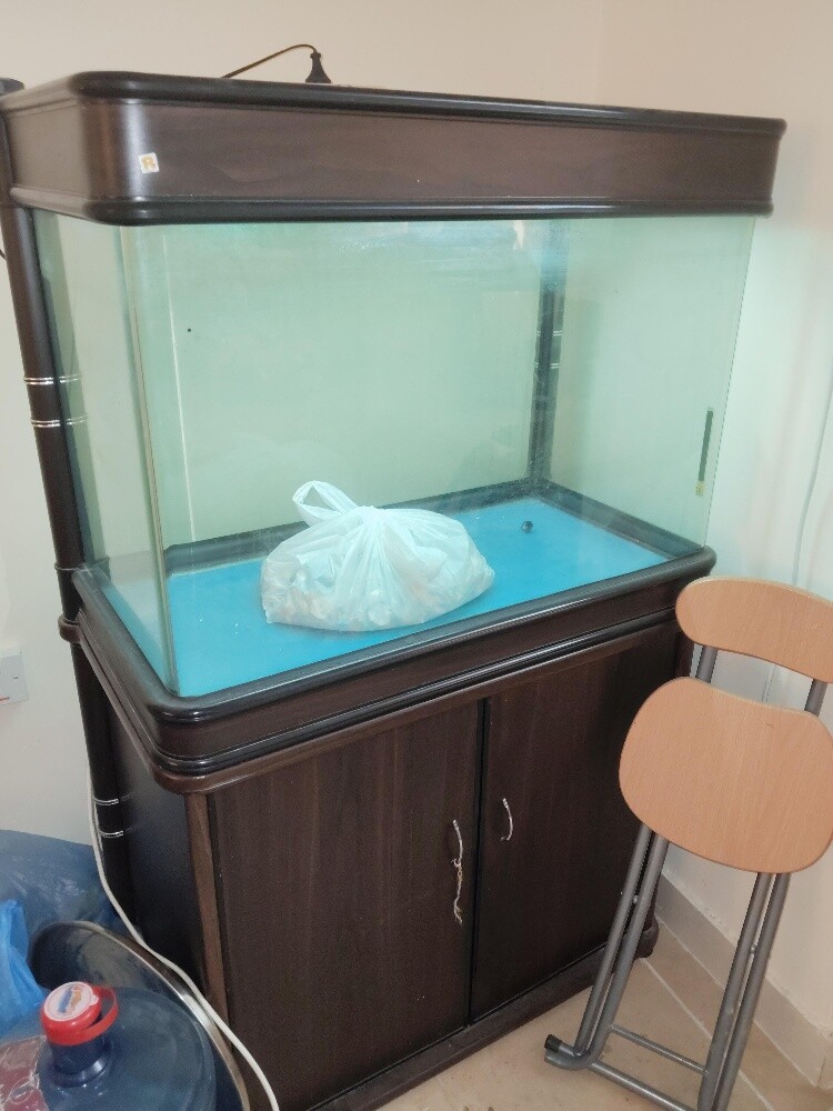 Large Fish Aquarium with Bottom Cab - 5