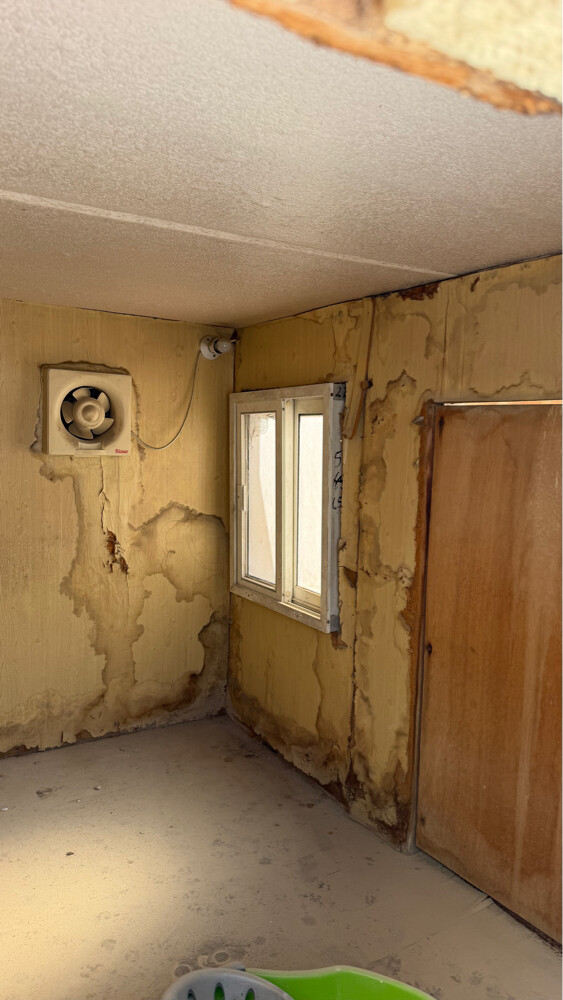 Dog house (customized) - 2