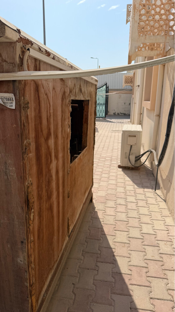 Dog house (customized) - 4