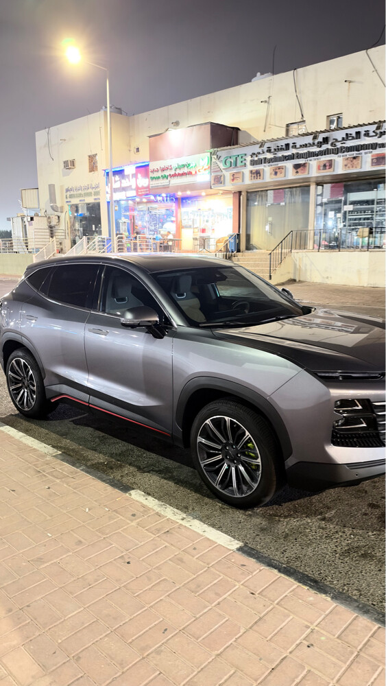 جيتور داشنج فلاج شيب - 3