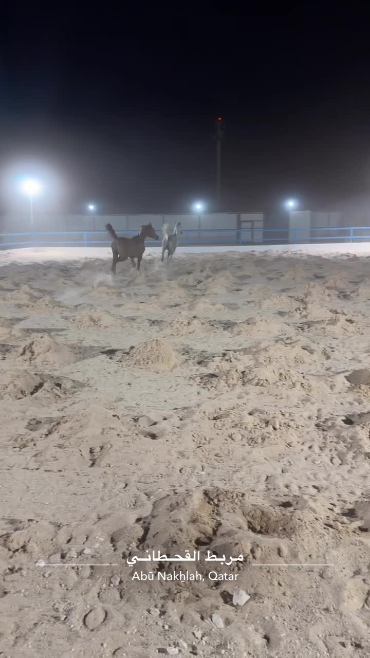 ايواء - 4