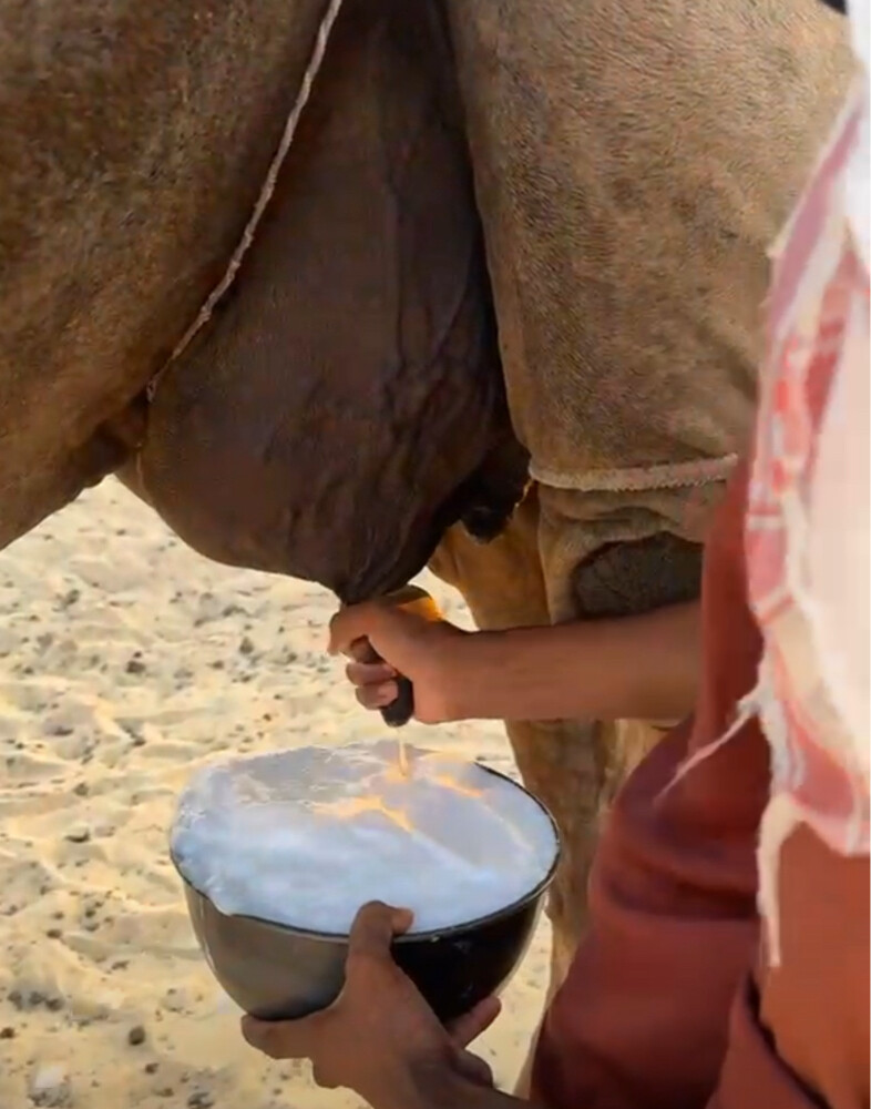 عشرا معزول حاشيها - 2