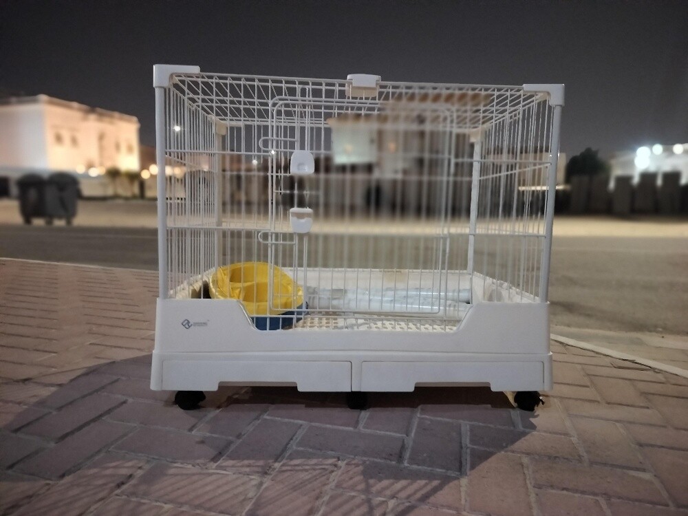 cat cage - 4