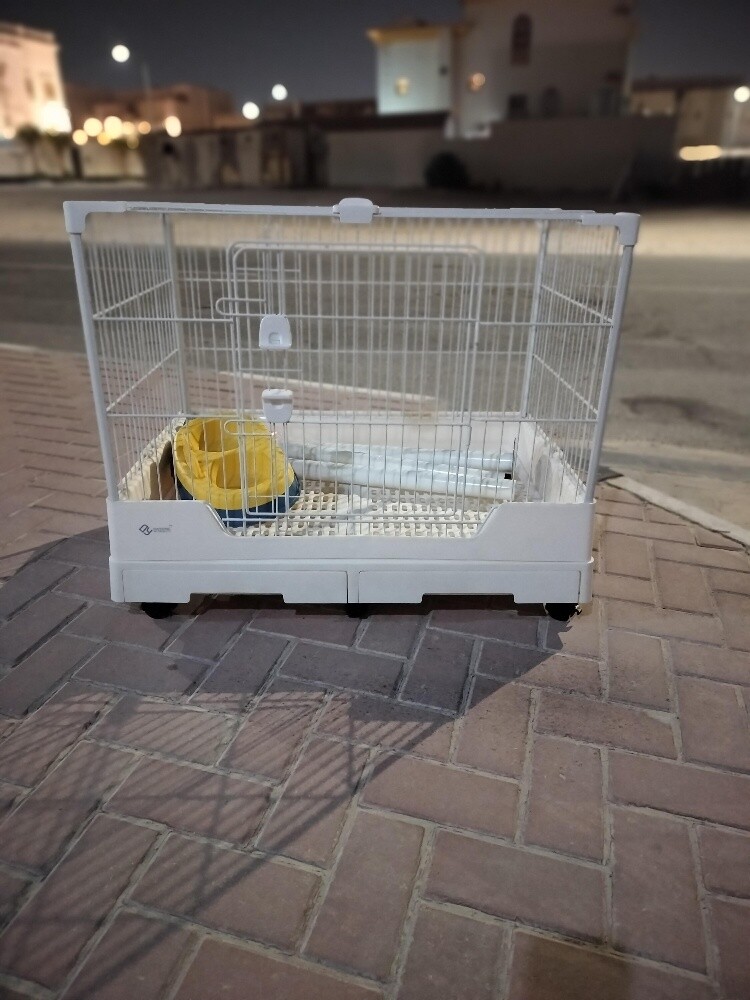 cat cage - 2
