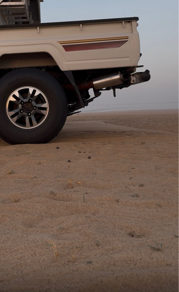 مشنوق - 1
