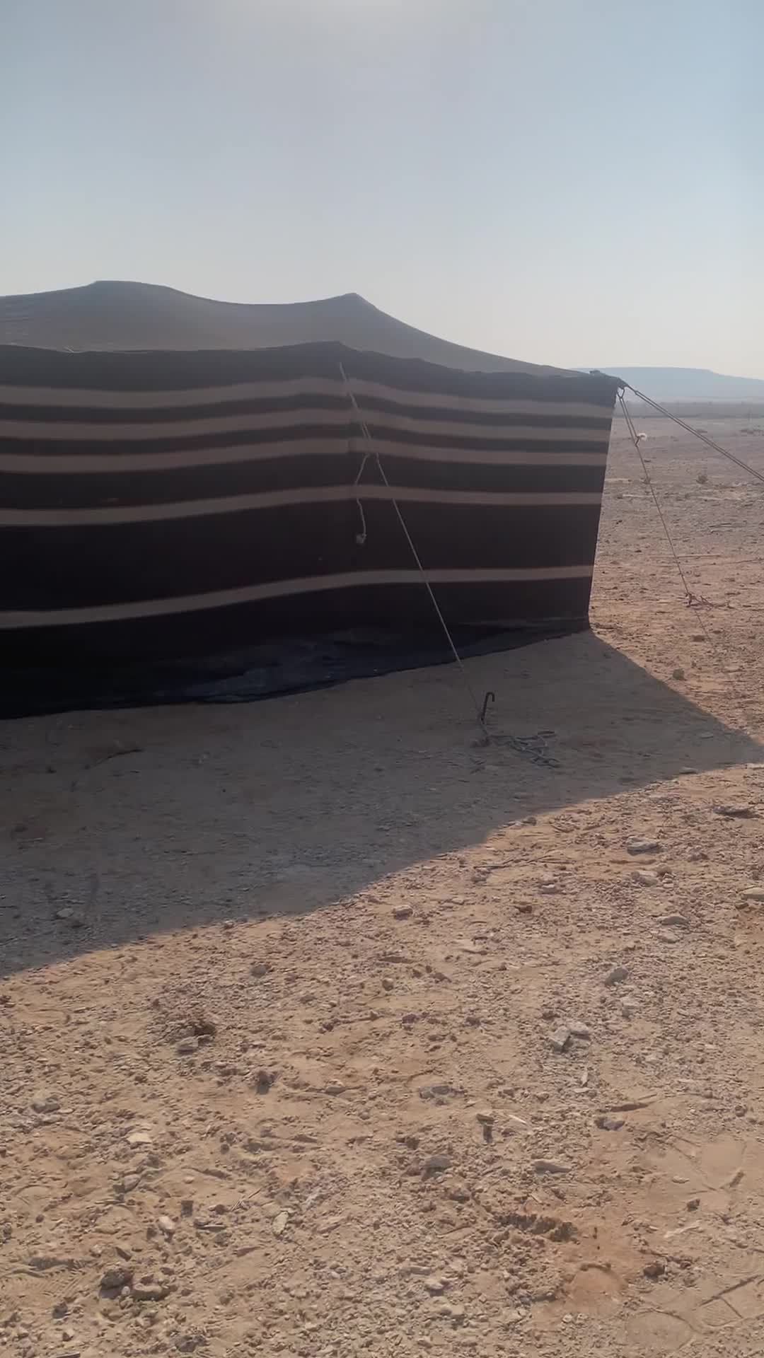 للبيع بيت شعر شمالي - 3