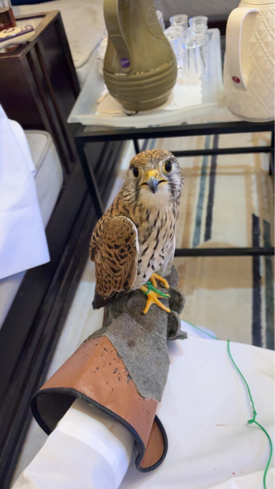 ثلاث شرايس  - 3