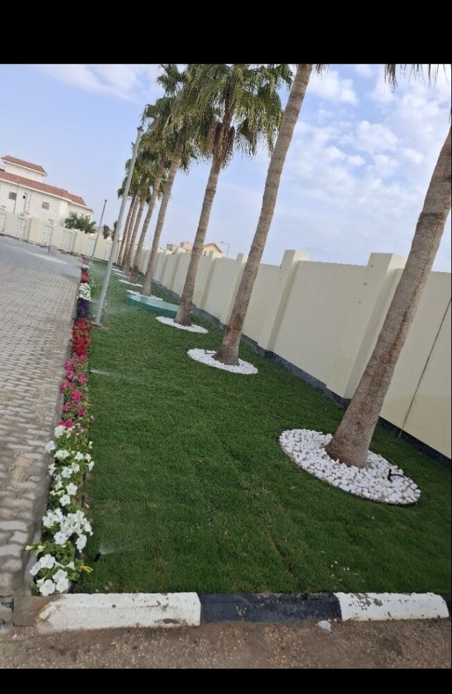 ديكورات - 10