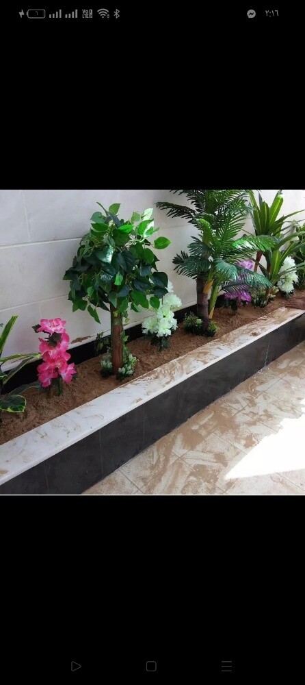 ديكور حدائق - 3