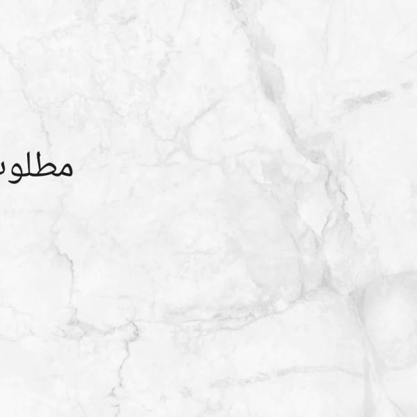 أبحث عن شريك ممول - 1