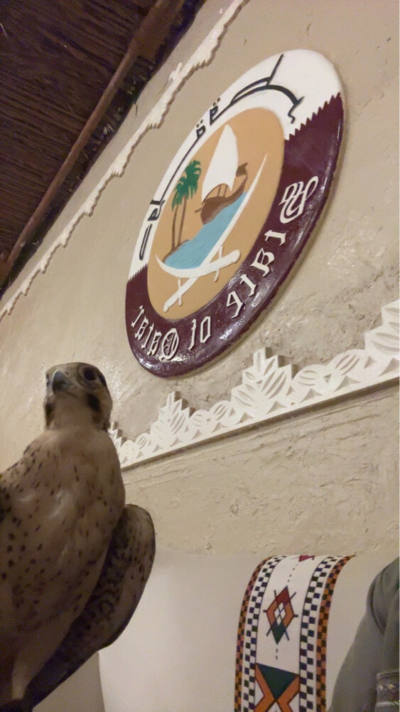 وكري سوداني  - 4