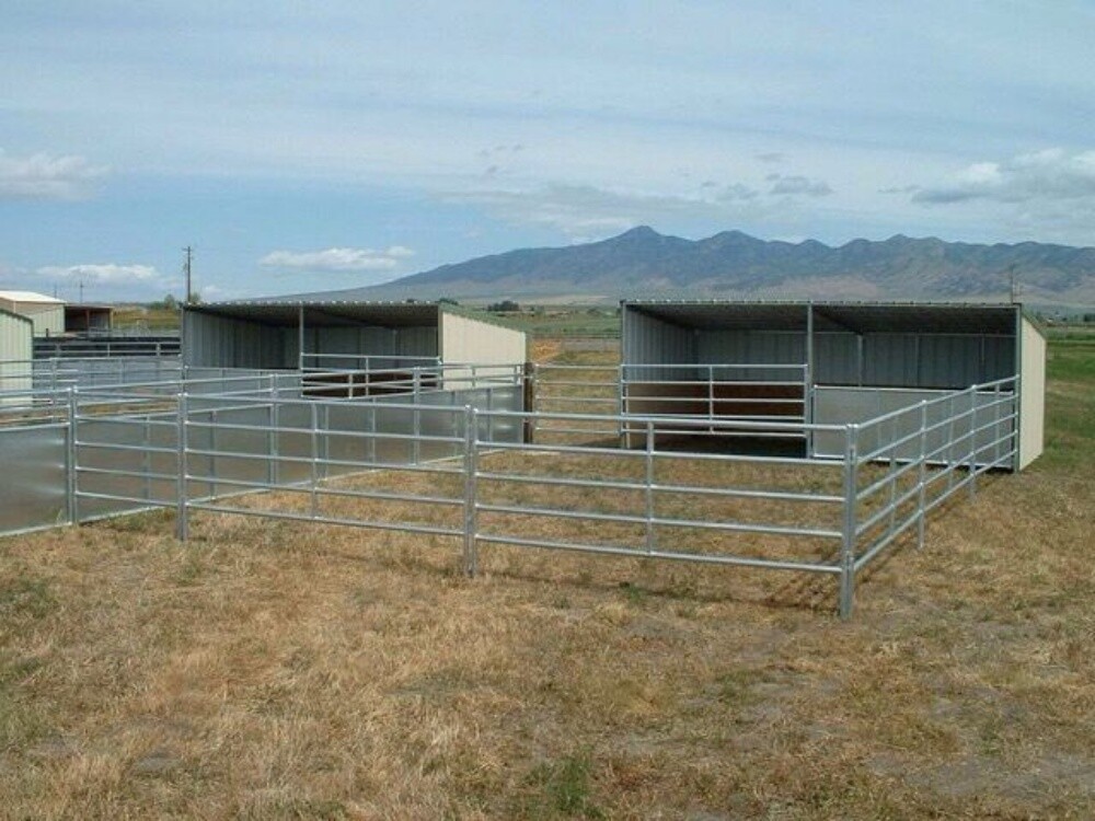 Horse stable - 5
