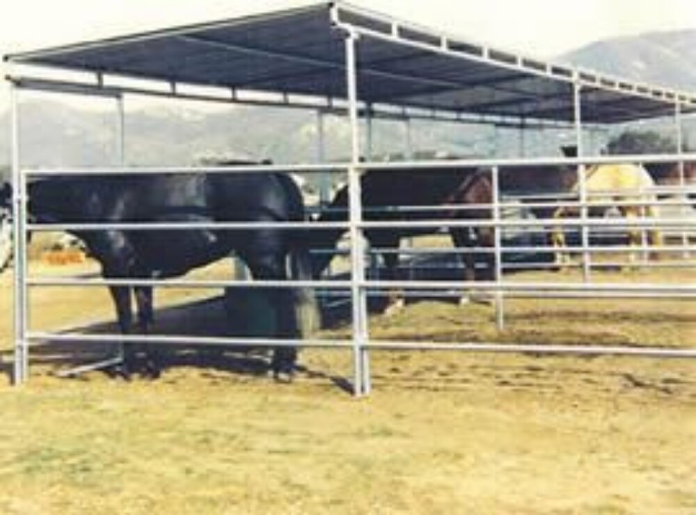 Horse stable - 2