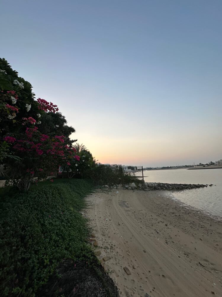 Villa by the sea  Al Qutaifiya rent - 26