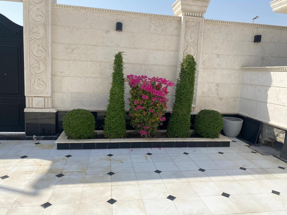 زراعه الورود والاشجار المثمره - 2