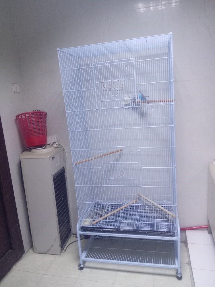 big cage - 1
