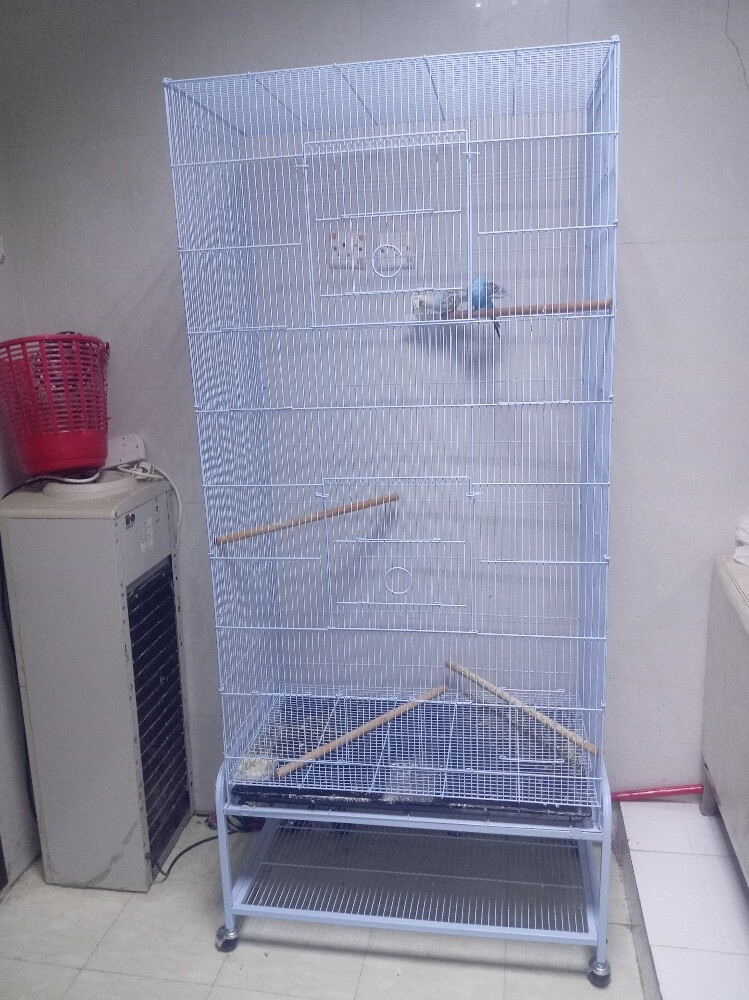 big cage - 2