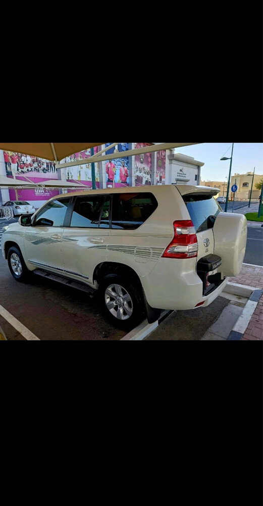 برادو - 2