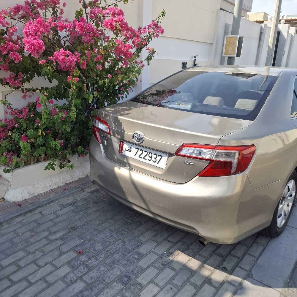 بوسالم - 2