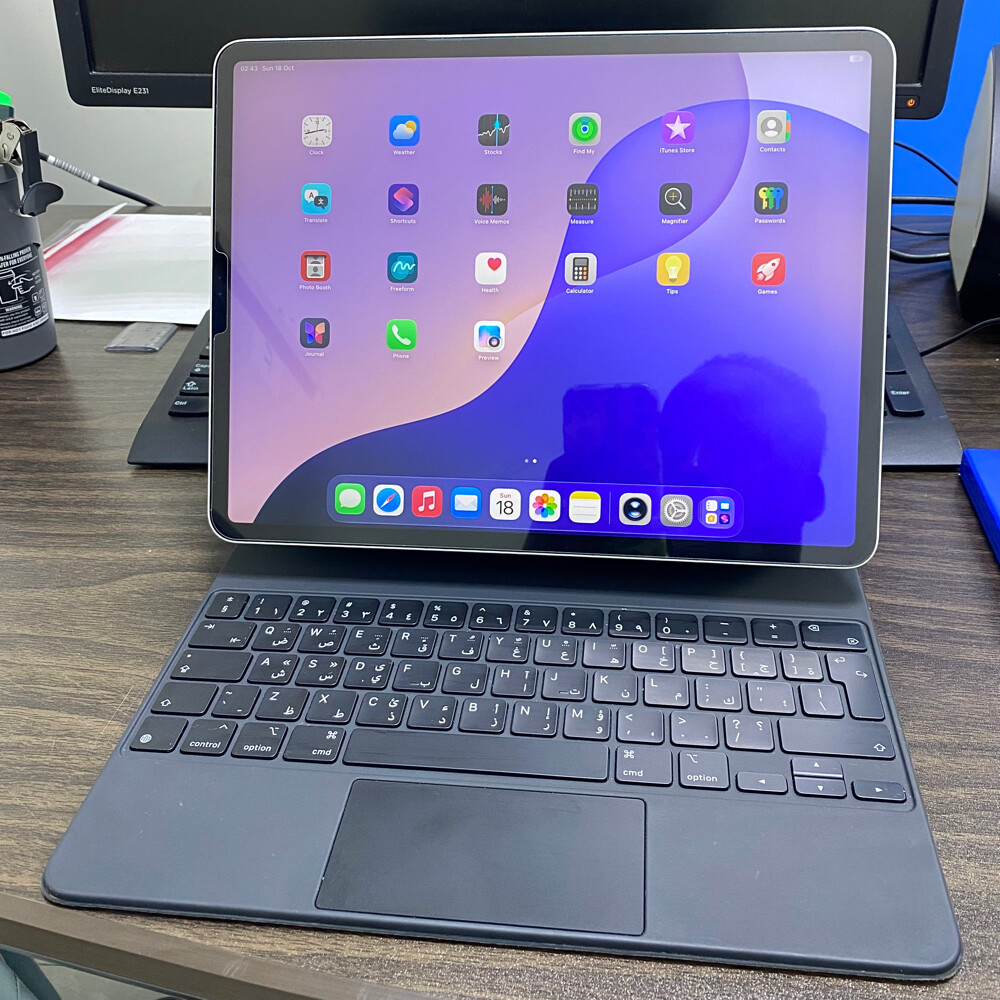 iPad Pro 12.9" (4th Gen) 256GB  - 1