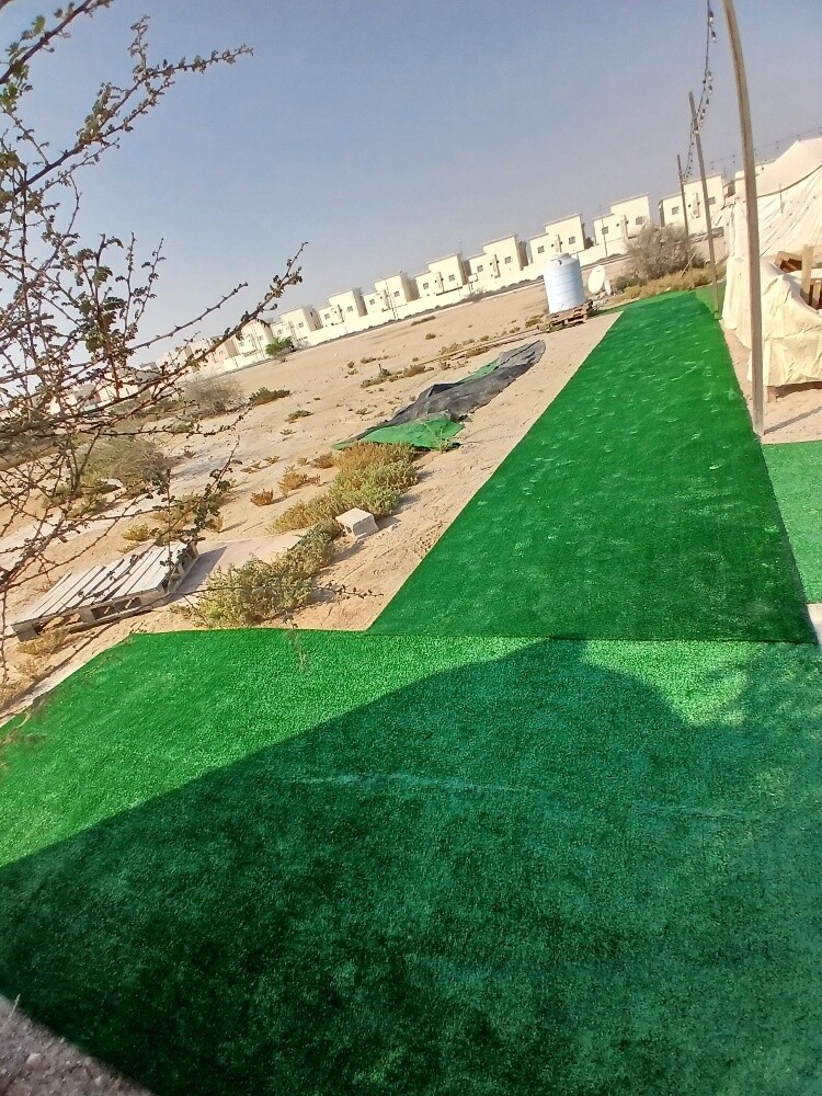 Artificial Grass carpet - 3