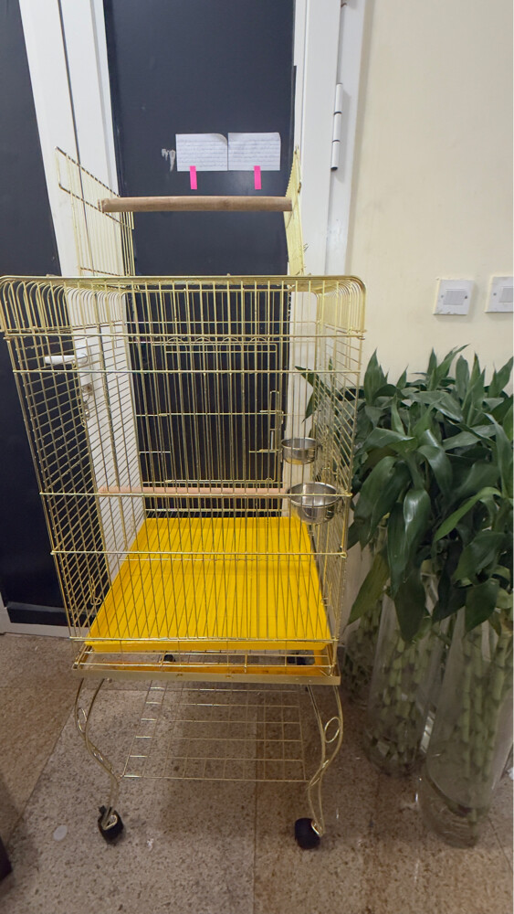 bird cage - 5