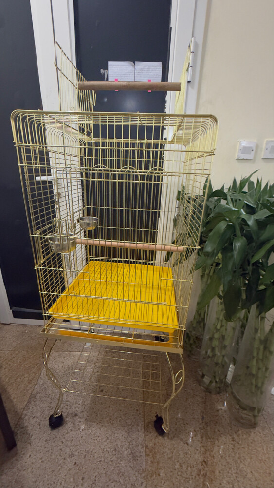 bird cage - 2