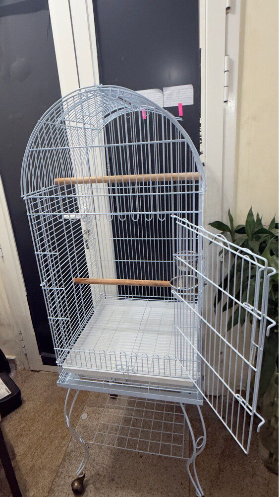 bird cage - 9