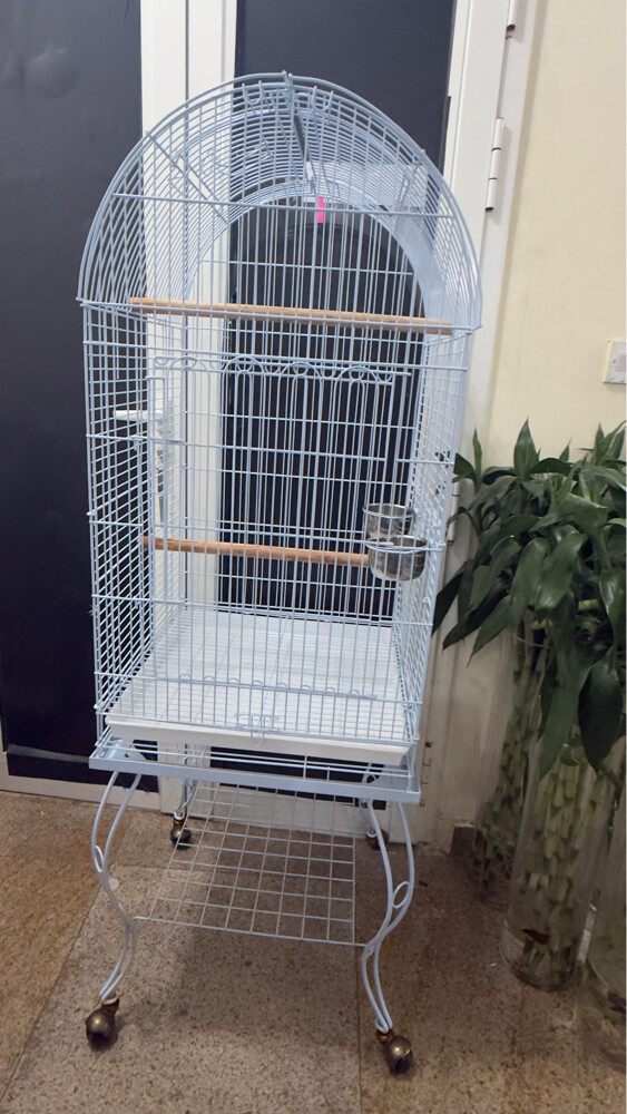 bird cage - 7