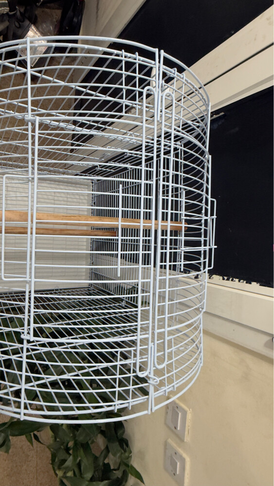 bird cage - 10