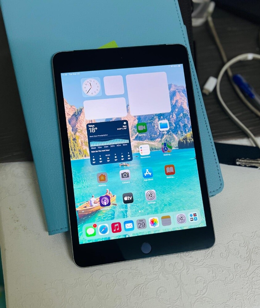 iPad Mini4 /128Gb/WiFi - 7