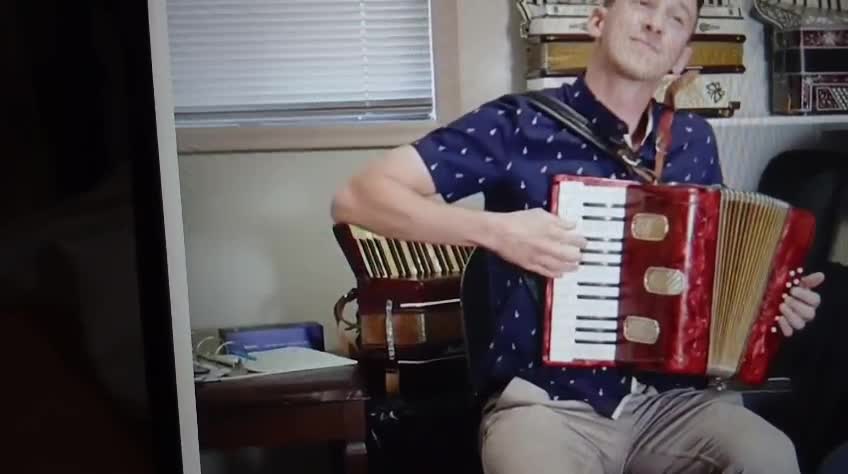 Accordion musical instruments - 4