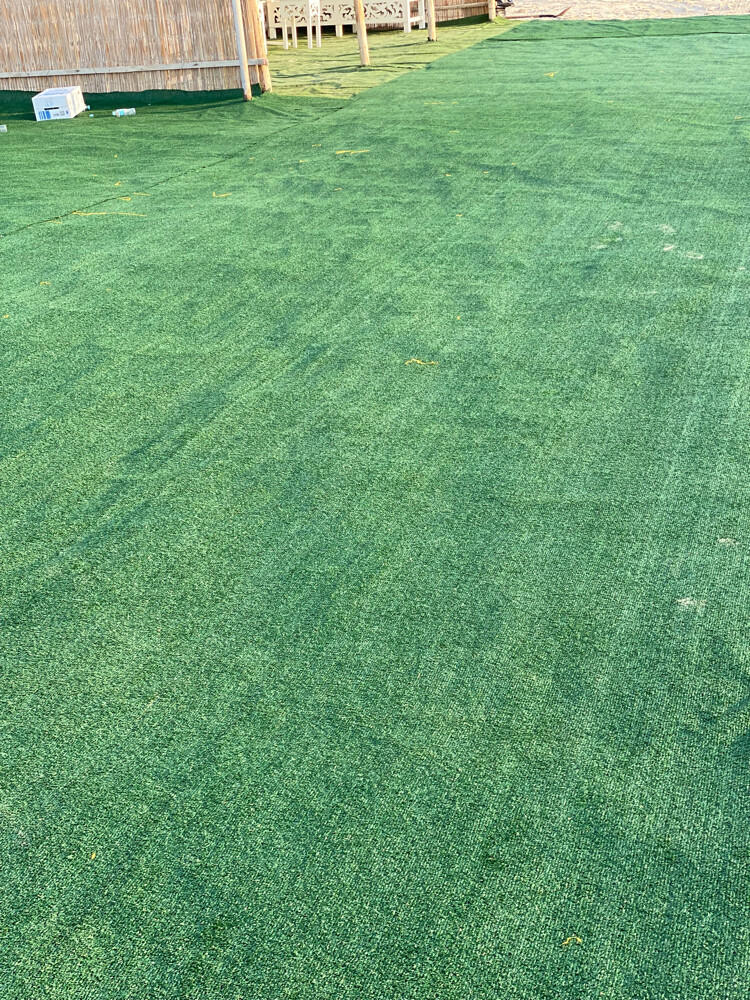 10mm grass  - 6