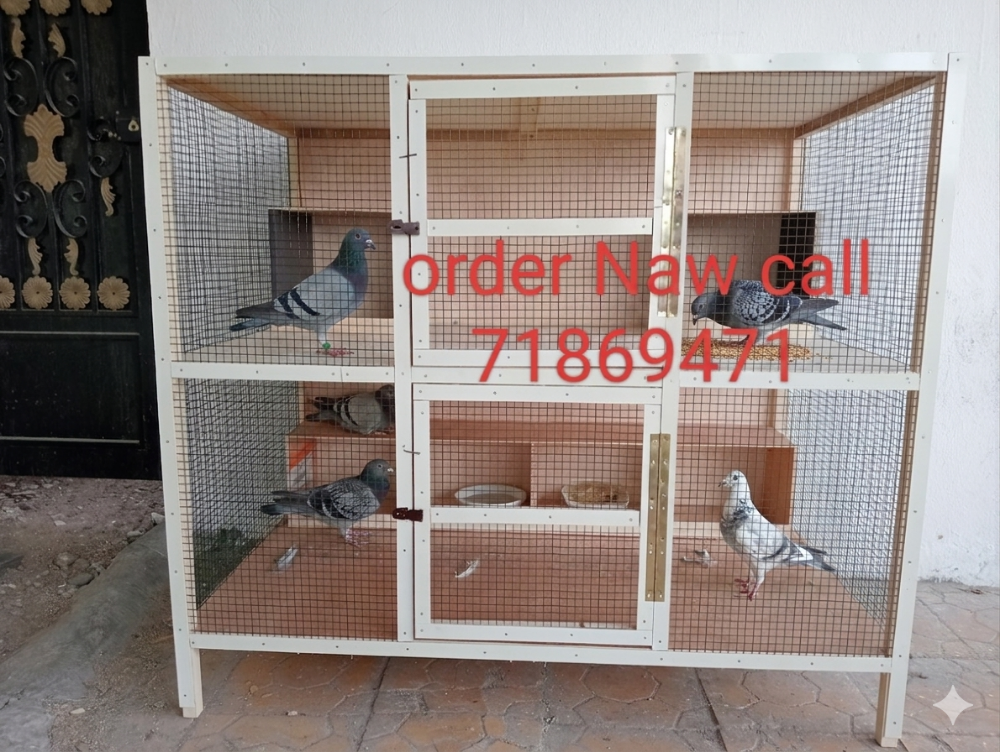 All furniture sale chicken house - 24