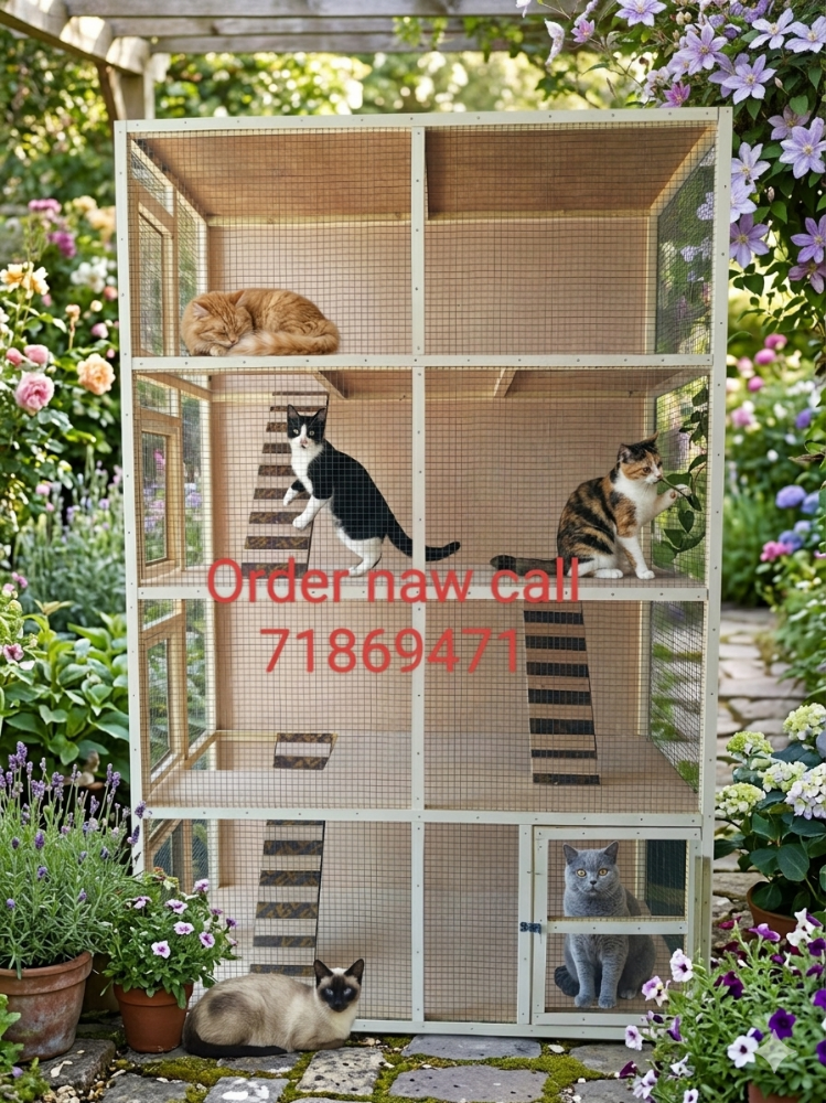 All furniture sale chicken house - 8