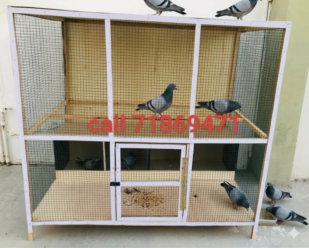 All furniture sale chicken house - 4