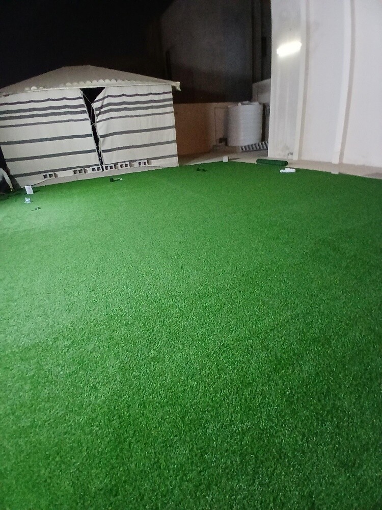 Artificial Grass and wall decor - 3