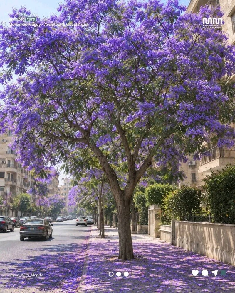 مزارع زراعة وصيانه وترتيب الحدائق - 6
