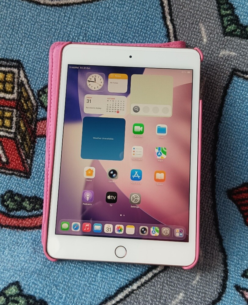 ipad mini5 /64gb/WiFi - 4