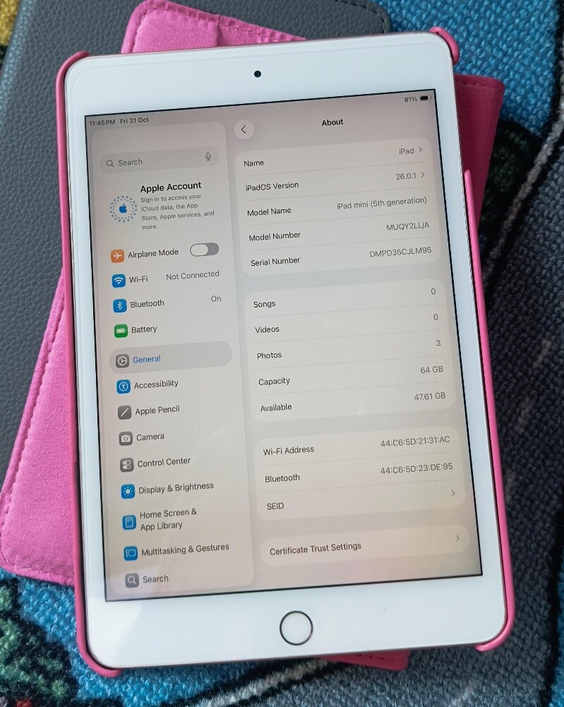 ipad mini5 /64gb/WiFi - 6