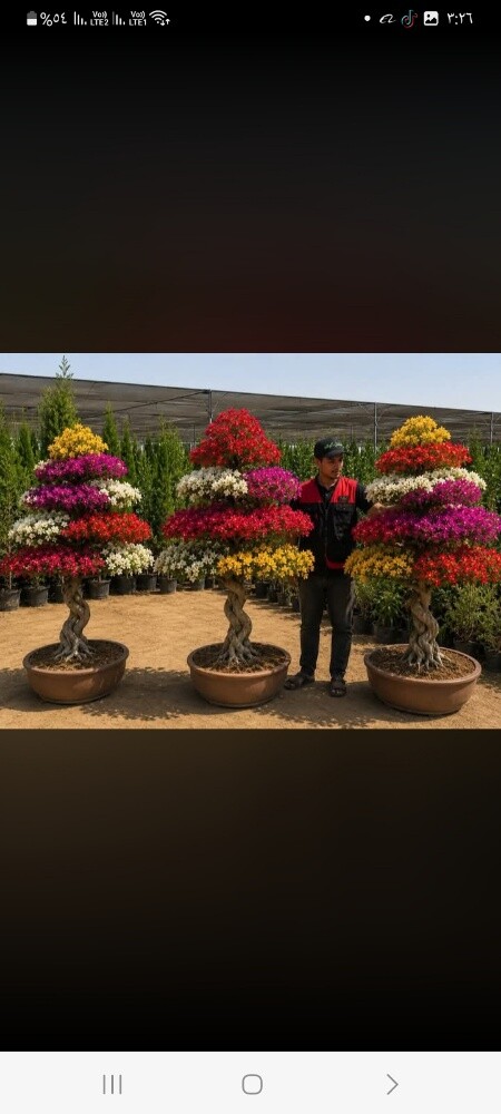 مزارع زراعة وصيانه وترتيب الحدائق - 1