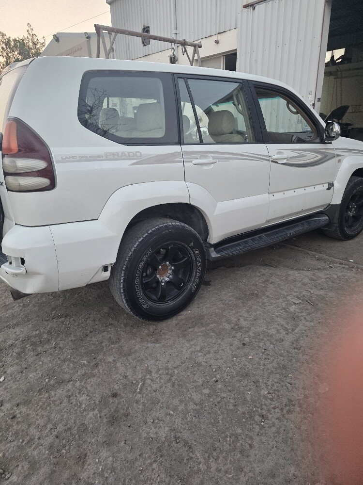 برادو - 2