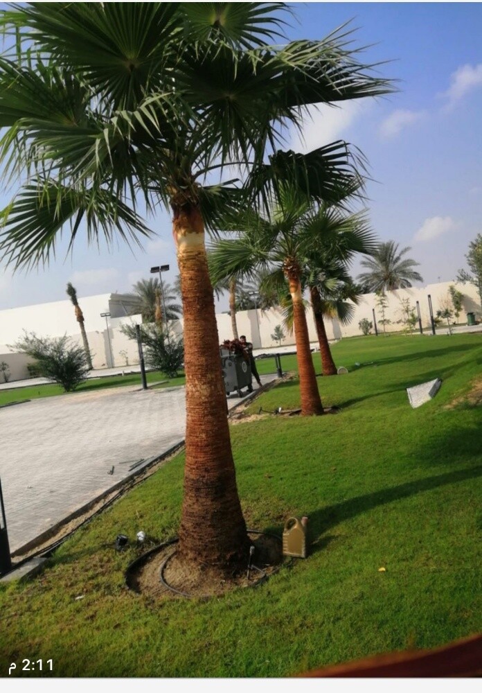 منسق أجمل الحدائق - 6
