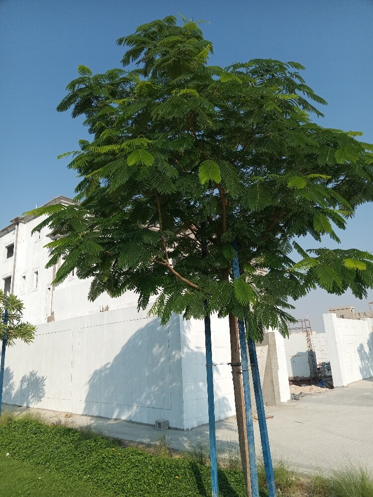 منسق أجمل الحدائق - 5