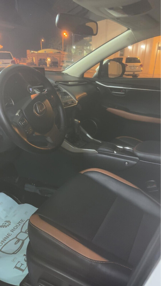 lexus Nx300 - 5